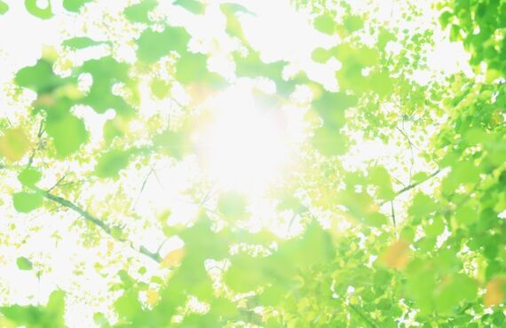 大人や子どもの発達しょうがいのお悩みで、熊本で相談先をお探しの方へ